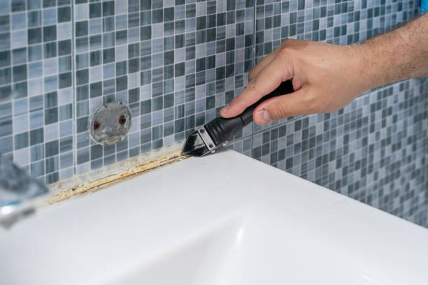 Best Mold Removal Company Near Me  in Tsaile, AZ